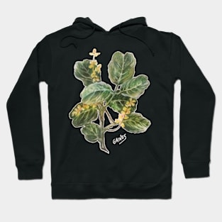 Almug Tree, pastel drawing Hoodie